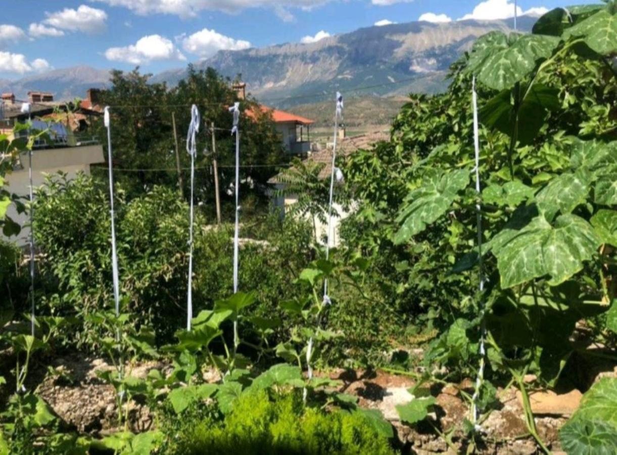 Miziriguesthouse Gjirokastër 외부 사진